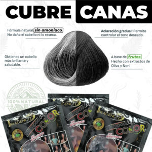 Shampoo Pintacanas Black Hair – Oscurece Canas, Sin Amoniaco, Resultado Inmediato