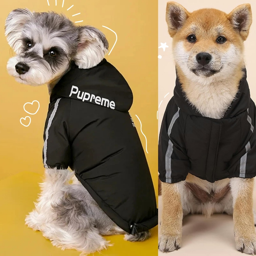 17610822626-CHAQUETA-TERMICA-IMPERMEABLE-PARA-PERROS